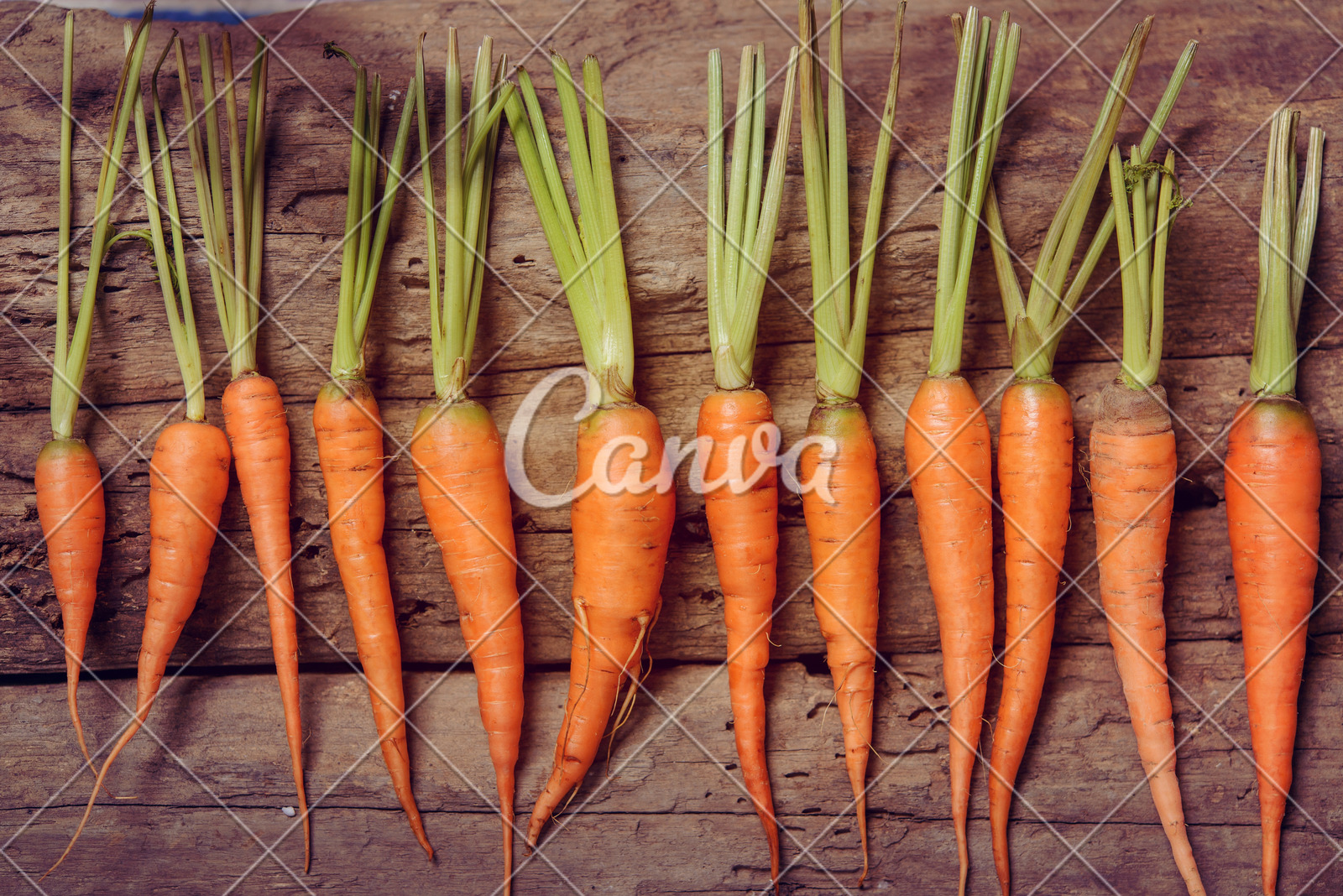 花椒加工厂生产废水处理